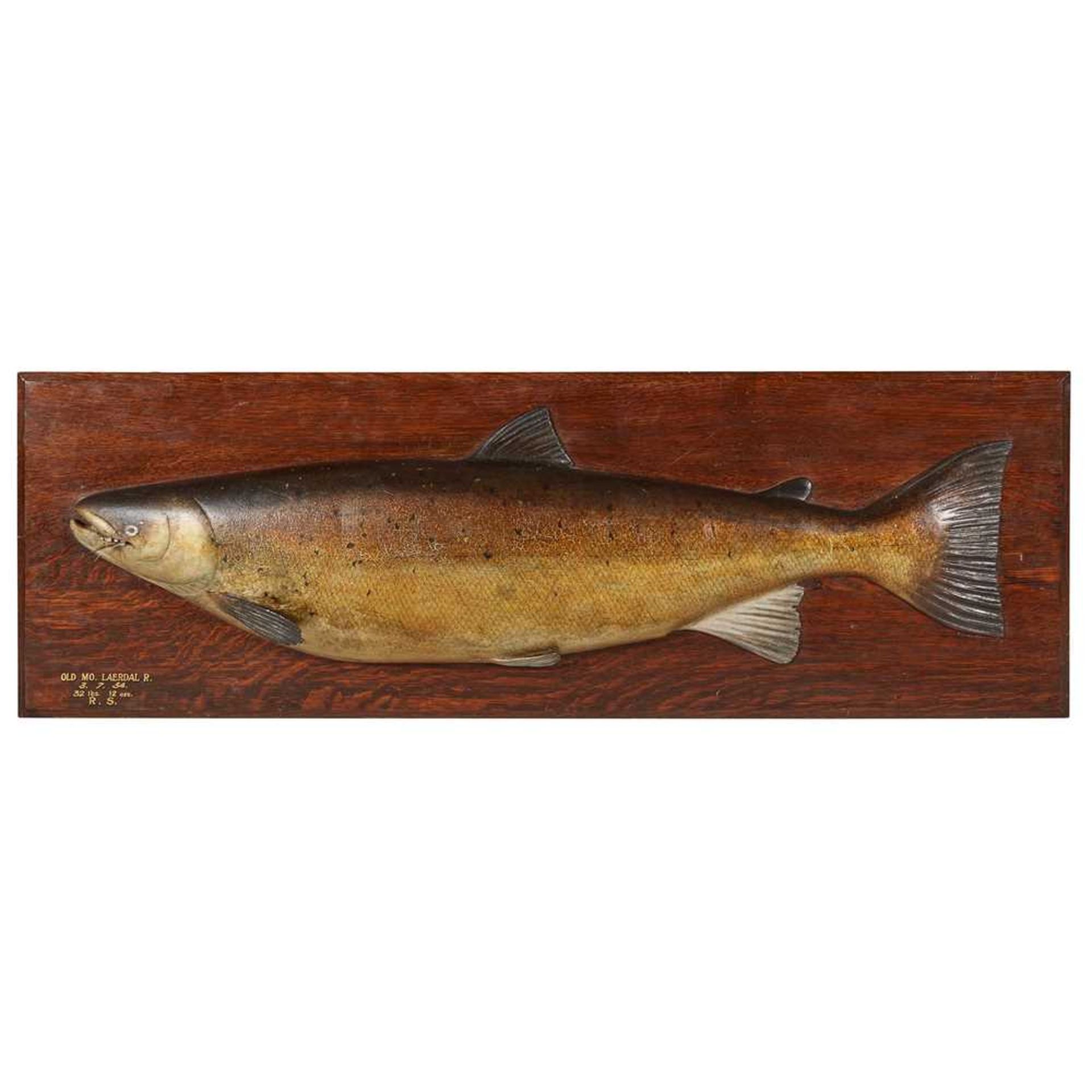 LARGE POLYCHROME PAINTED WOOD SALMON TROPHY BY EDWARD GERRARD AND SONS DATED 1934