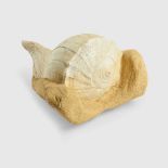LARGE GASTROPOD FOSSIL FRANCE, MIOCENE PERIOD, 10 MILLION YEARS BP