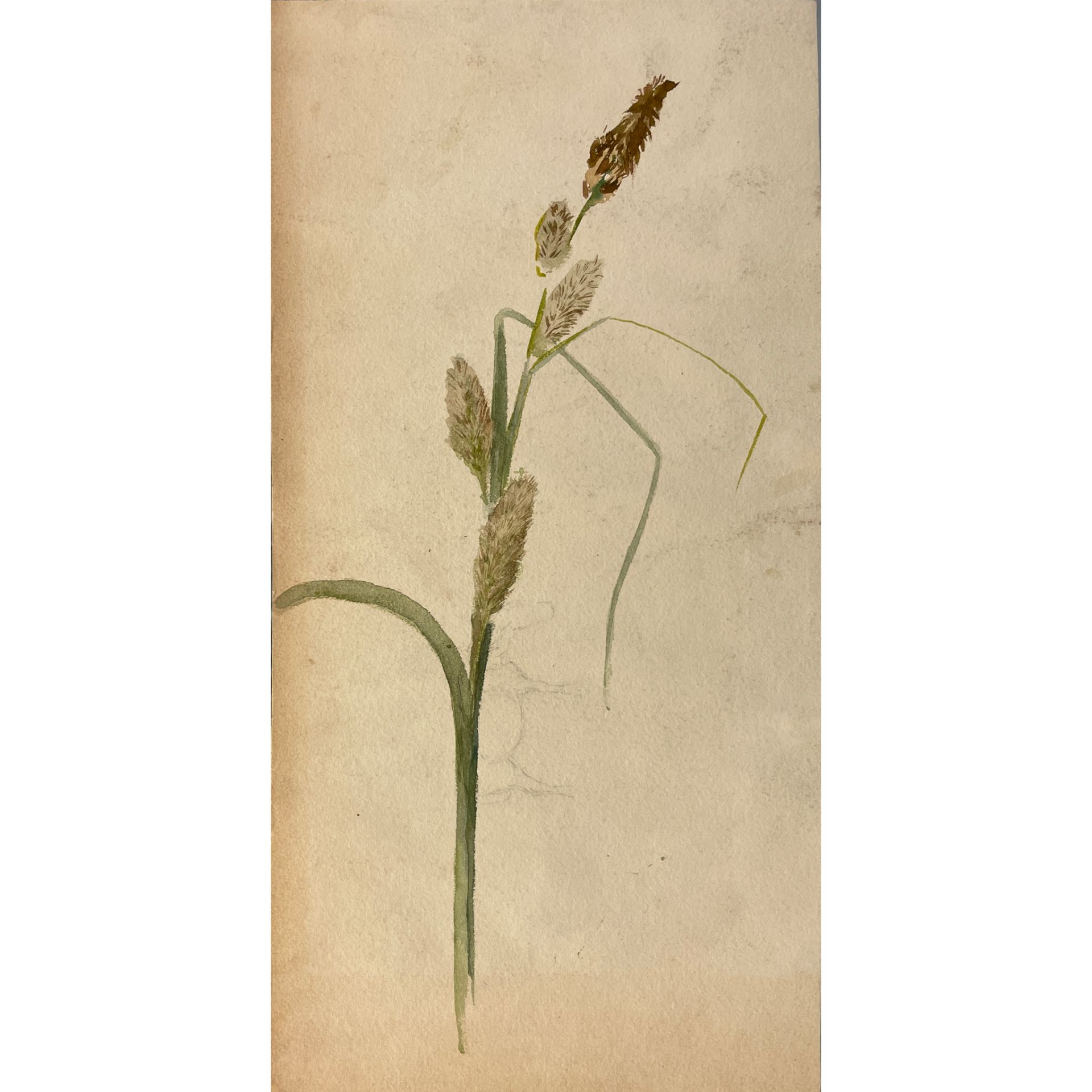 HANNAH BARLOW (1851-1916), FARMYARD SCENE - Bild 11 aus 31
