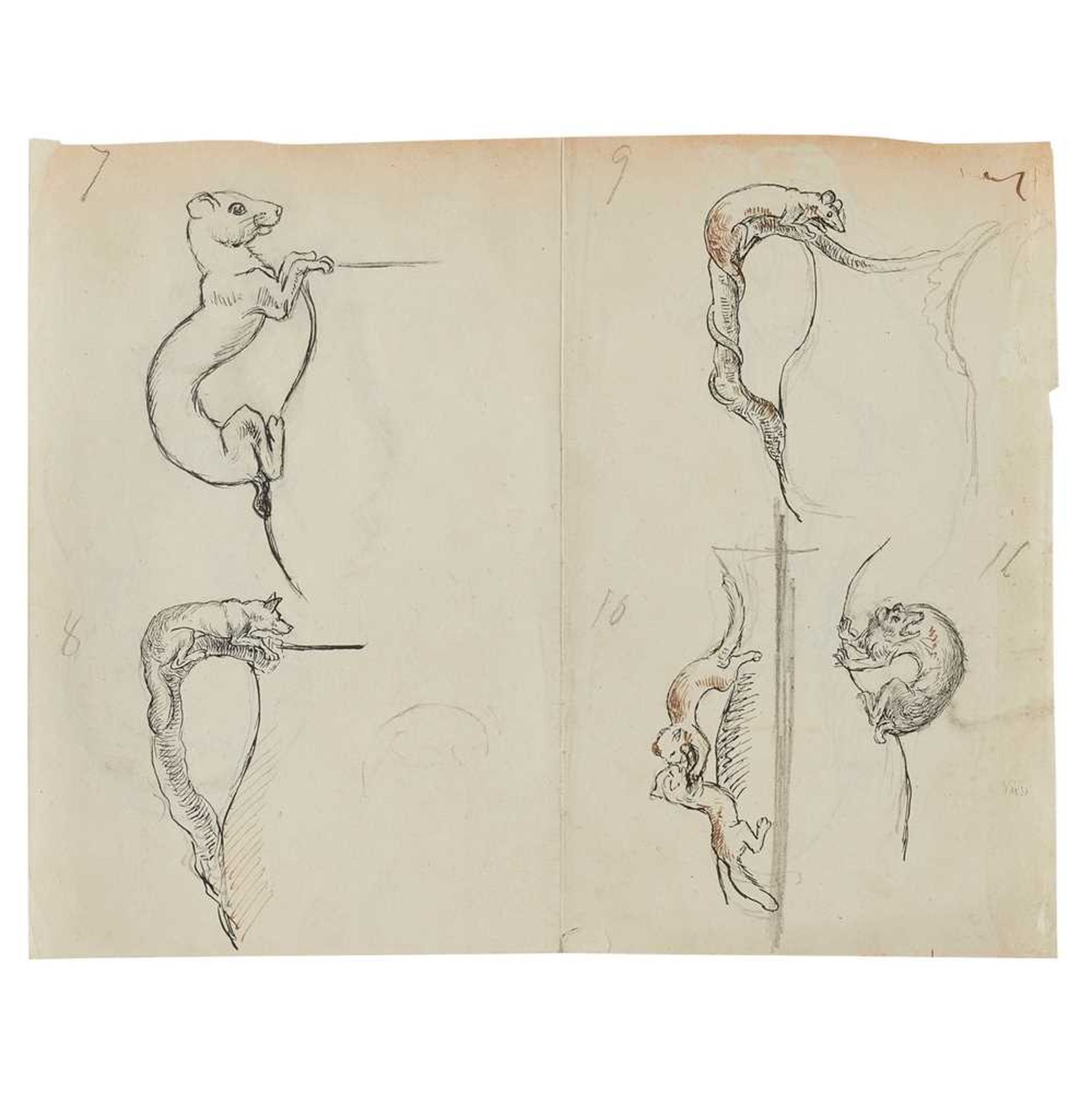 HANNAH BARLOW (1851-1916) DESIGNS FOR A ‘DOG’ JUG HANDLE AND A ‘CAT’ JUG HANDLE, CIRCA 1870 - Image 7 of 15