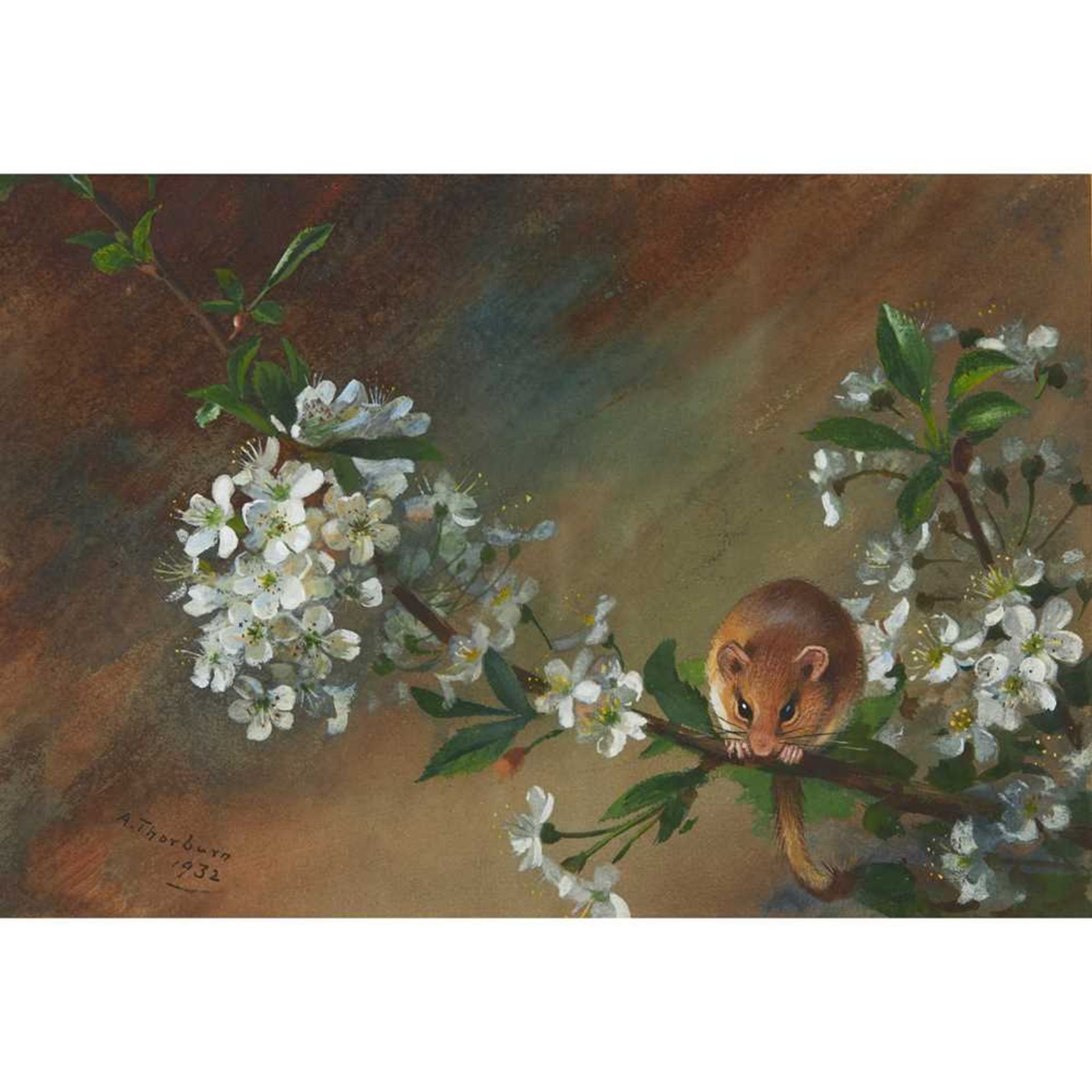 ARCHIBALD THORBURN (SCOTTISH 1860-1935) FIELD MOUSE AND BLOSSOM