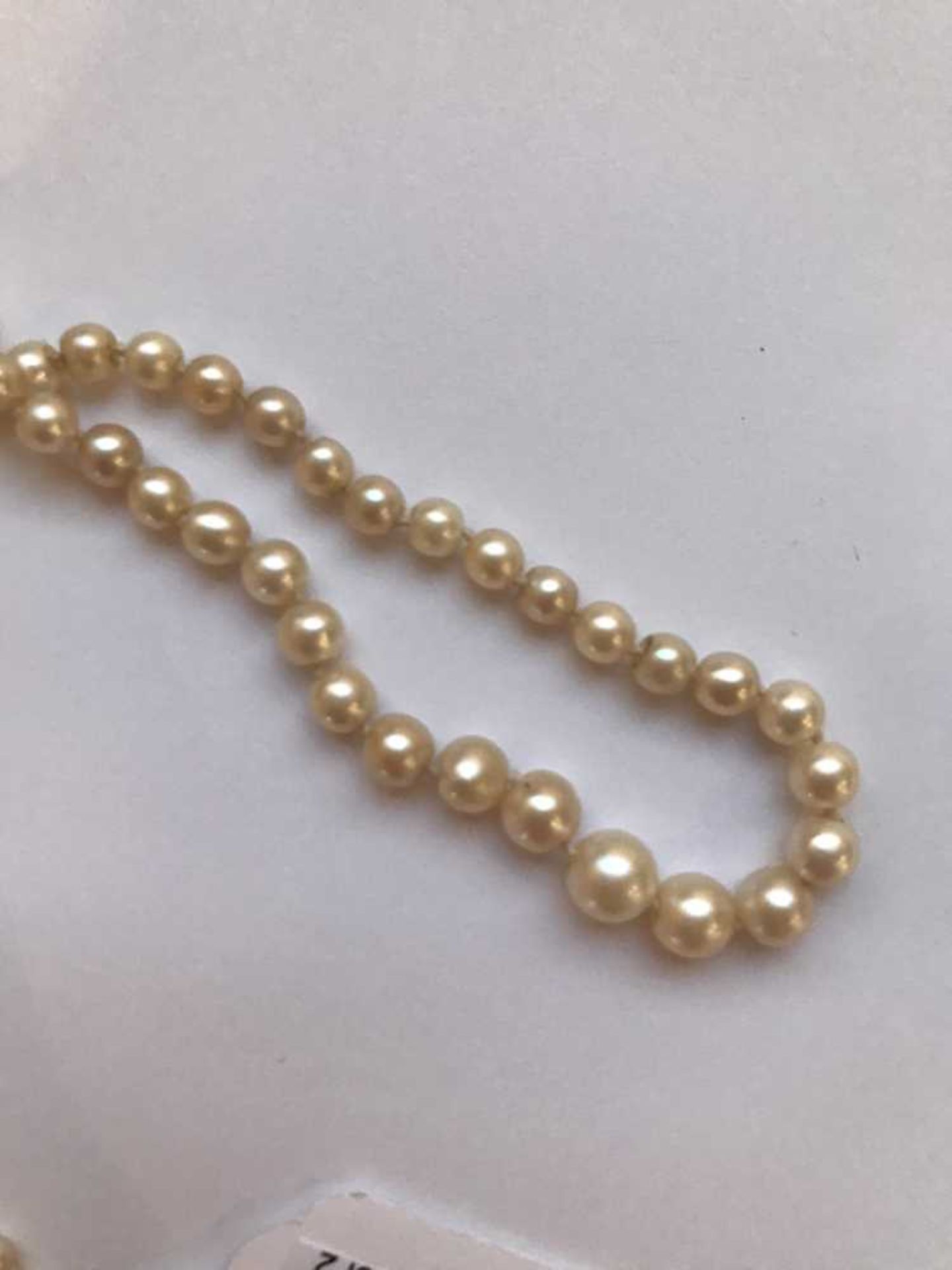 A natural saltwater pearl necklace - Image 6 of 6