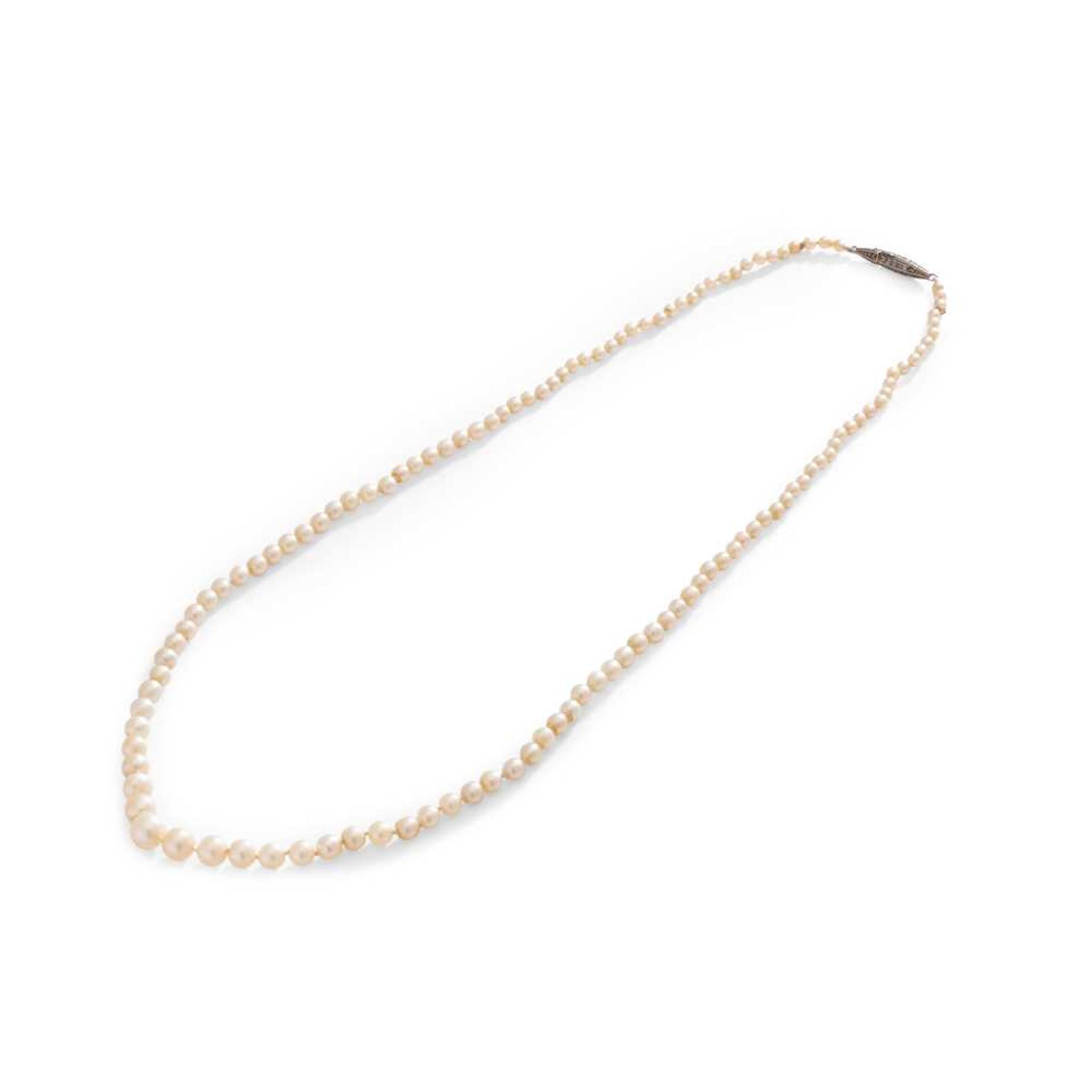 A natural saltwater pearl necklace