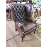 A brown leather button back wing armchair, on cabriole legs with ball and claw feet