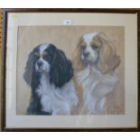 Olga C Miksche Two Cavalier King Charles Spaniels Pastel portrait monogrammed 43cm x 52cm