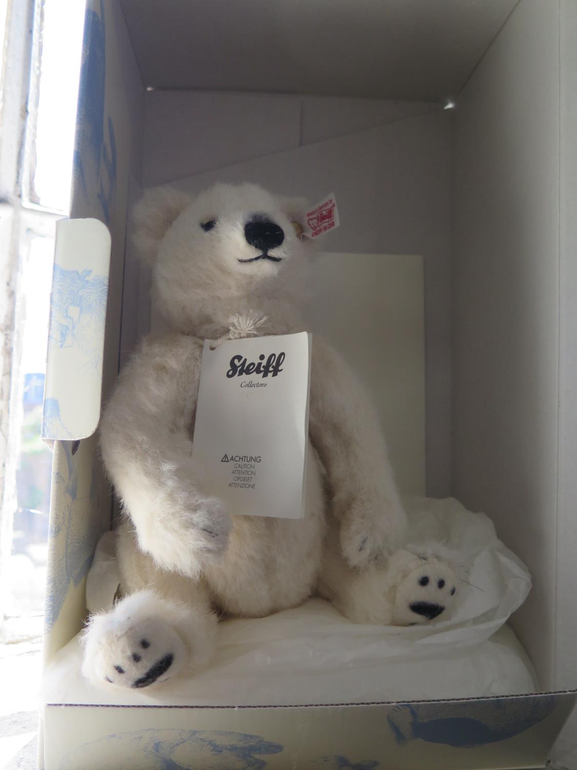 A Steiff limited edition Polar Bear, 034817, with certificate, boxed, 24 cm long