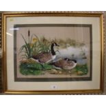 Alan Tinsey Canada Geese Family by waters edge watercolour signed 1987 Guild stamp verso, 34cm x