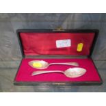 A pair of late Victorian decorative teaspoons, John Round & Sons, Sheffield 1894 in fitted case
