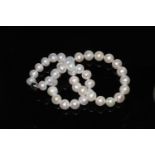 A string of white freshwater cultured pearls with a 9ct white gold ball clasp. 18 inches