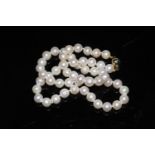 A String of White Cultured pearls with gold clasp