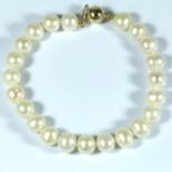 Pearl bracelet with 9ct yellow gold ball clasp