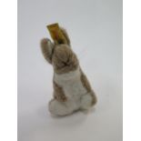 A Stieff Bunny. With label and button.
