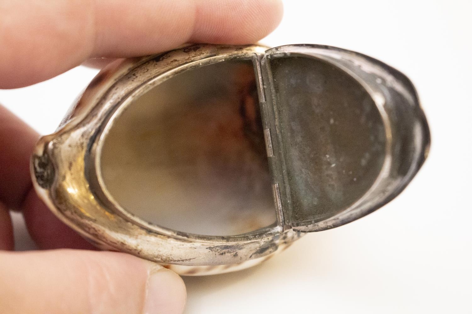 A Scottish Cowrie Shell Snuff Box. 19th century, apparently unmarked. Of typical form. Engraved J - Image 4 of 4