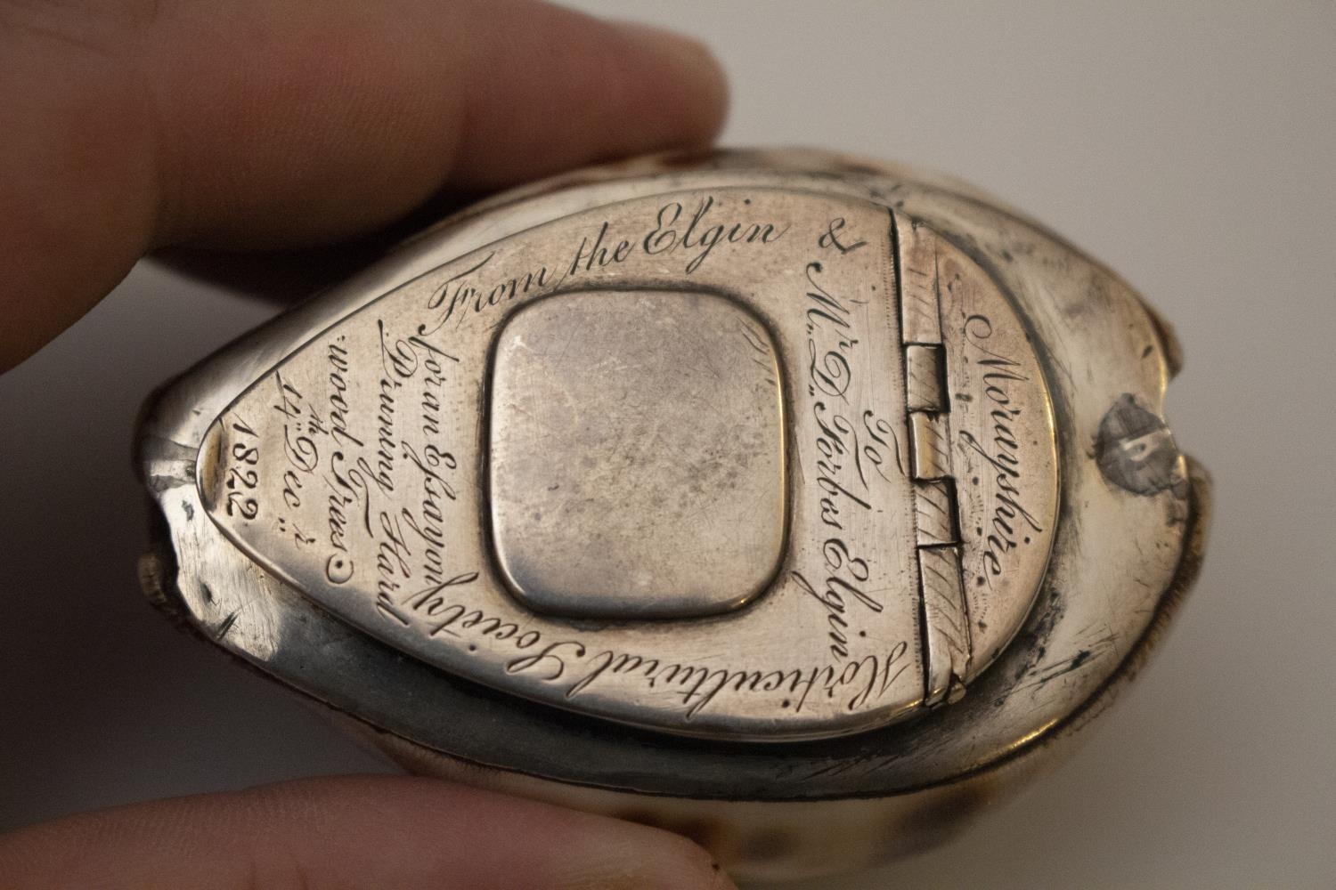 A Scottish Cowrie Shell Snuff box The Sterling mounts engraved with an inscription and date. "From