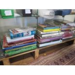 A selection of books on antique collecting
