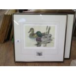 A Collection of Eleven American Wildlife Prints. Some with 'Department of Wildlife' stamps attached.