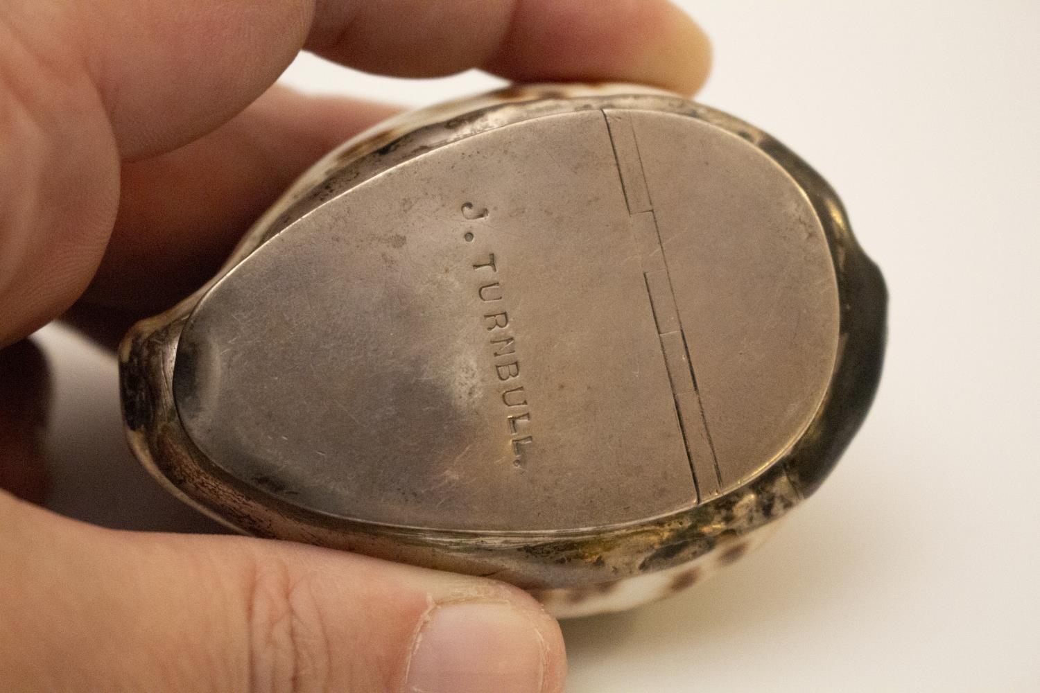 A Scottish Cowrie Shell Snuff Box. 19th century, apparently unmarked. Of typical form. Engraved J - Image 3 of 4