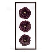 THREE DECORATIVE FLOWER MODELS mounted in a glazed wall cabinet, overall 35cm wide x 10cm deep x