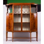 AN EDWARDIAN MAHOGANY DISPLAY CABINET with raised top over decoratively inlaid frieze, with astragal