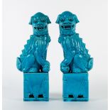 A PAIR OF MODERN CHINESE PORCELAIN TURQUOISE GLAZED DOGS OF FO standing on plinth bases, each 31cm