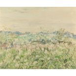 MID TO LATE 20TH CENTURY FIELD LANDSCAPE with flowers, oil on canvas, initialled EBS, 49cm x 60cm,