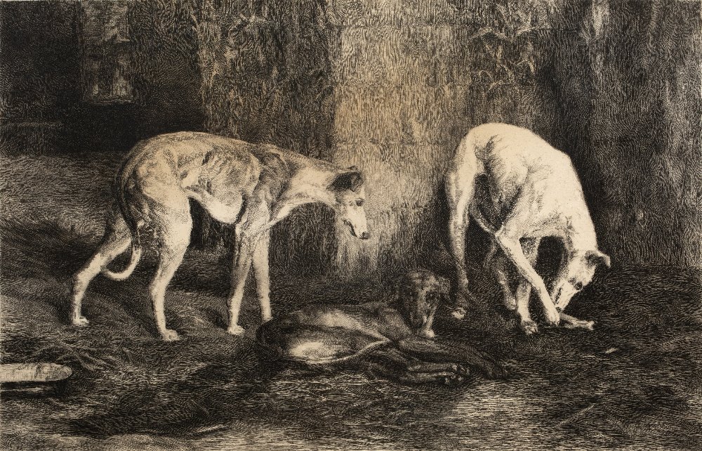 George Barrie (19th Century English School) 'Three dogs' engraving, unsigned, with Imperial Art