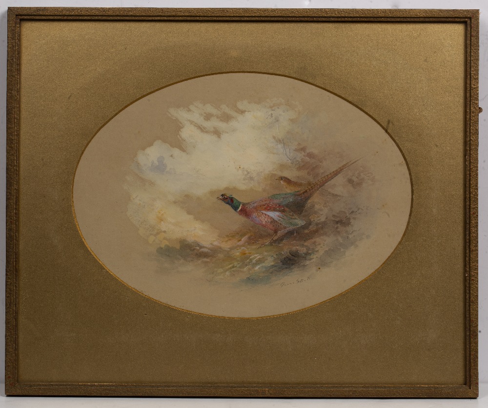 James Stinton (1870-1961) Pair of watercolour studies of pheasants, signed, 20cm x 27cm (2) - Image 2 of 5