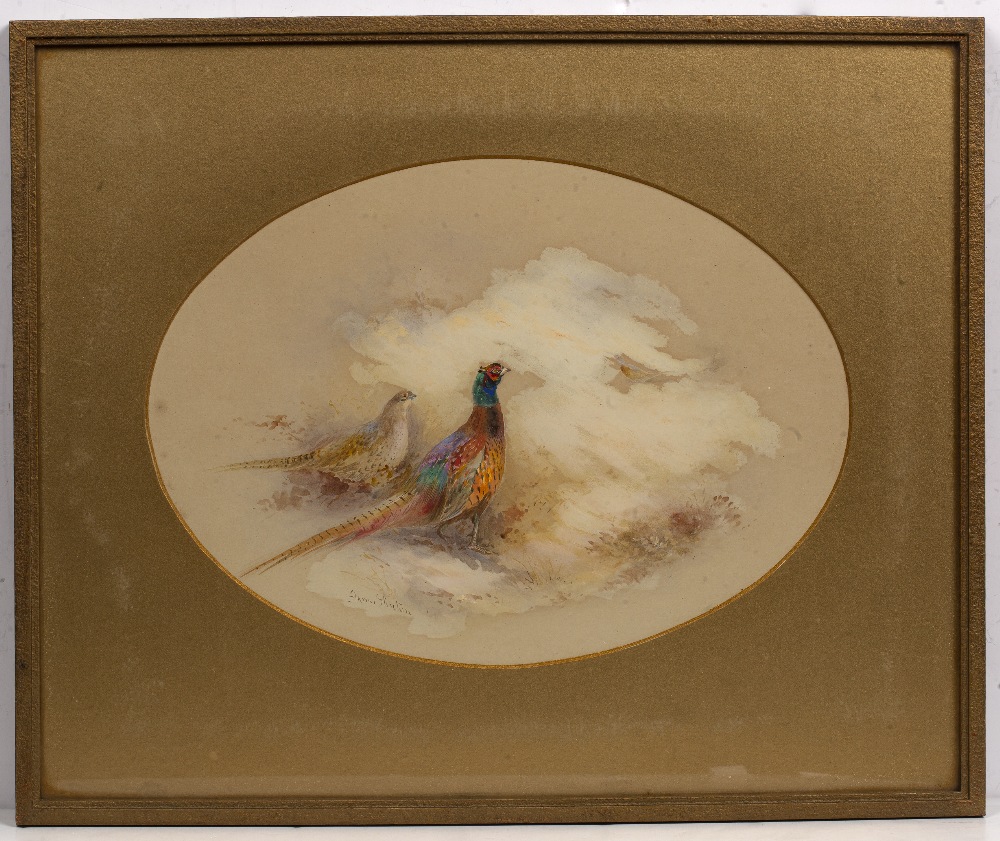 James Stinton (1870-1961) Pair of watercolour studies of pheasants, signed, 20cm x 27cm (2) - Image 3 of 5