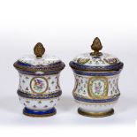 Near pair of French porcelain jars and covers with ormolu mounts decorated with flowers and Sèvres