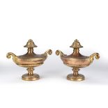 Pair of bronze Colza lamps Regency period, each of oval classical urn form, with acanthus and