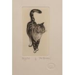 Gianni Raffaelli (b.1952) 'Study of a cat' limited edition etching, numbered 49/150, signed in