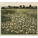Phil Greenwood (b.1943) 'Moonpennies' etching and aquatint, artists proof, signed and dated 1975