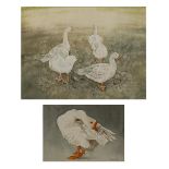 Ann Blockley (Contemporary) 'Group of geese' watercolour, signed lower right, 24cm x 32cm and