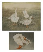 Ann Blockley (Contemporary) 'Group of geese' watercolour, signed lower right, 24cm x 32cm and