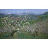 Valerie Douglas (Contemporary) 'Bramley blossom' oil on canvas, signed and titled to the reverse,