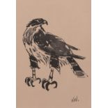 Kyffin Williams (1918-2006) 'Young buzzard No 1' print, from the Tegfryn Art Gallery, Menai Bridge