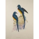 Martin Woodcock (b.1935) 'Golden breasted starlings' etching in colours, numbered 148/150 and signed