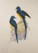 Martin Woodcock (b.1935) 'Golden breasted starlings' etching in colours, numbered 148/150 and signed