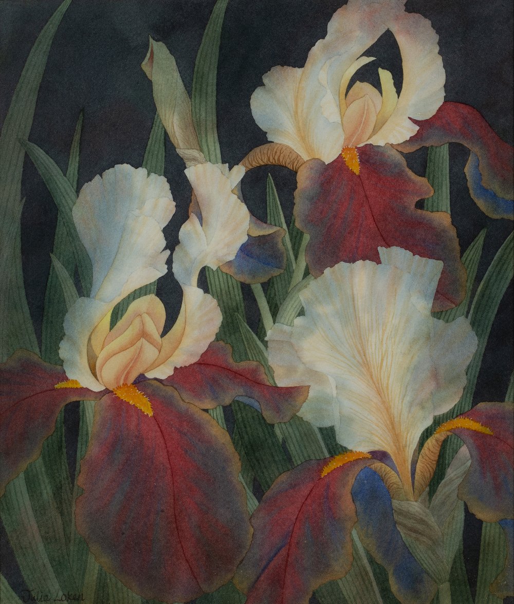 Julia Loken (20th Century) Irises signed watercolour 31 x 26.5cm. Good condition. Framed and