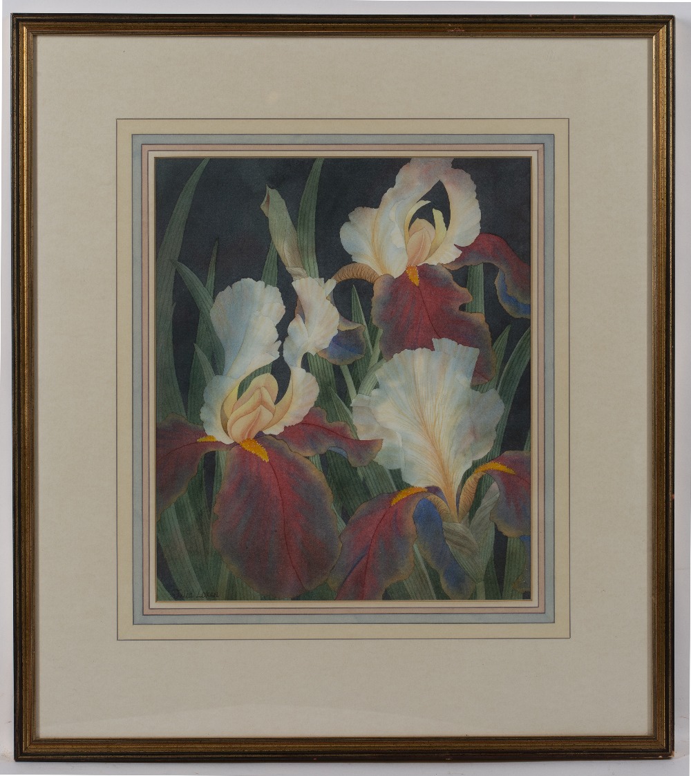 Julia Loken (20th Century) Irises signed watercolour 31 x 26.5cm. Good condition. Framed and - Image 2 of 3