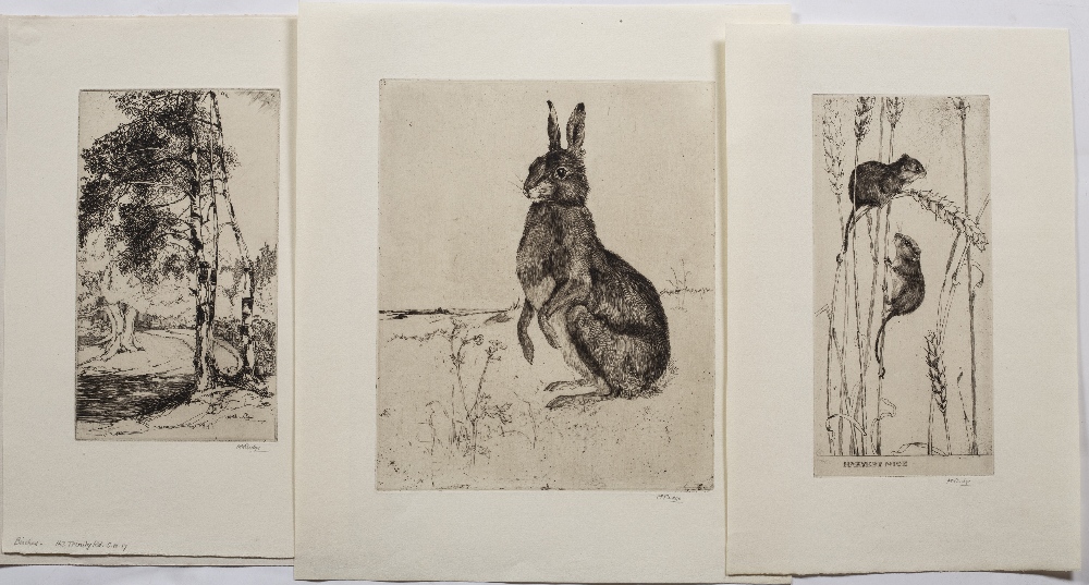 MARGARET M. RUDGE (1885-1972) Hare, etching, pencil signed in the margin, 21 x 17.5cm; another - ' - Image 2 of 3