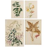 19TH CENTURY ENGLISH SCHOOL A botanical specimen, watercolour with body-colour, 55 x 38cm, and three