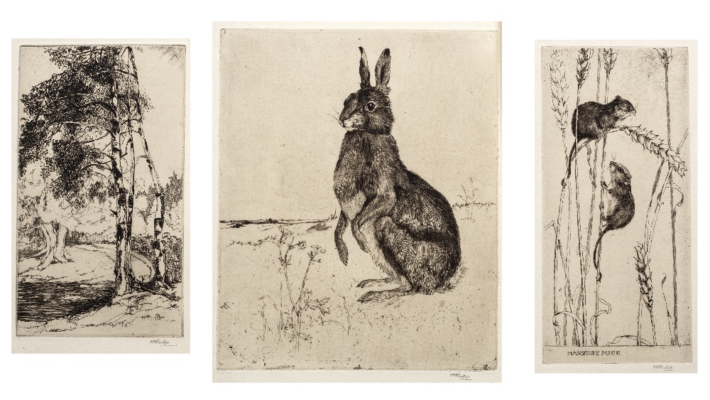 MARGARET M. RUDGE (1885-1972) Hare, etching, pencil signed in the margin, 21 x 17.5cm; another - '