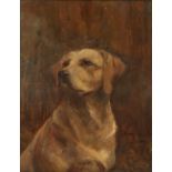 20TH CENTURY ENGLISH SCHOOL Portrait of a golden retriever, oil on board, 25 x 20cm