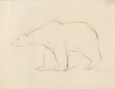 20TH CENTURY ENGLISH SCHOOL Polar Bear, lithograph, indistinctly signed in pencil, 37 x 48cm