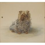 W * H * W ALKER (19TH/20TH CENTURY) Portrait of a Yorkshire terrier, signed with initials and