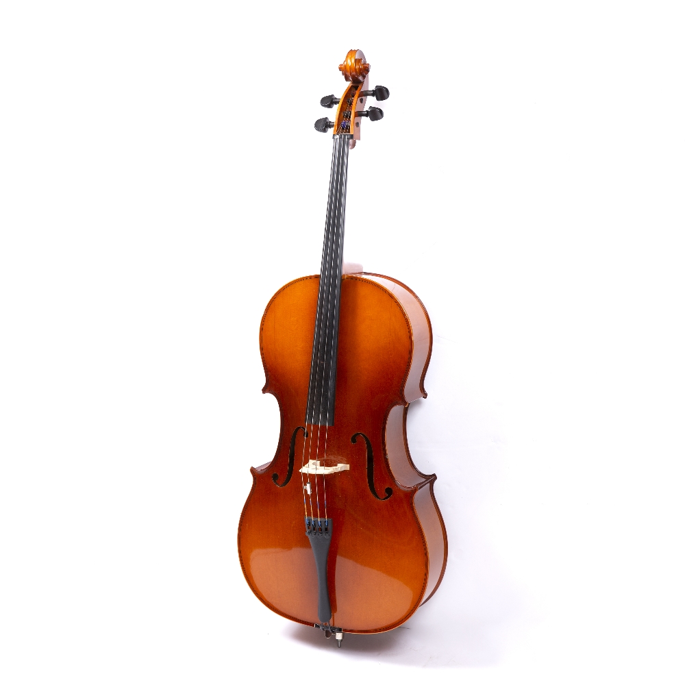 A RODERICK PAESOLD 602 CELLO with two piece back, labelled 'Roderick Paesold Bubenreuth anno - Image 3 of 4