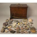 A 19TH CENTURY OAK BOX CONTAINING A LARGE QUANTITY OF MINERAL AND FOSSIL SPECIMENS together with a