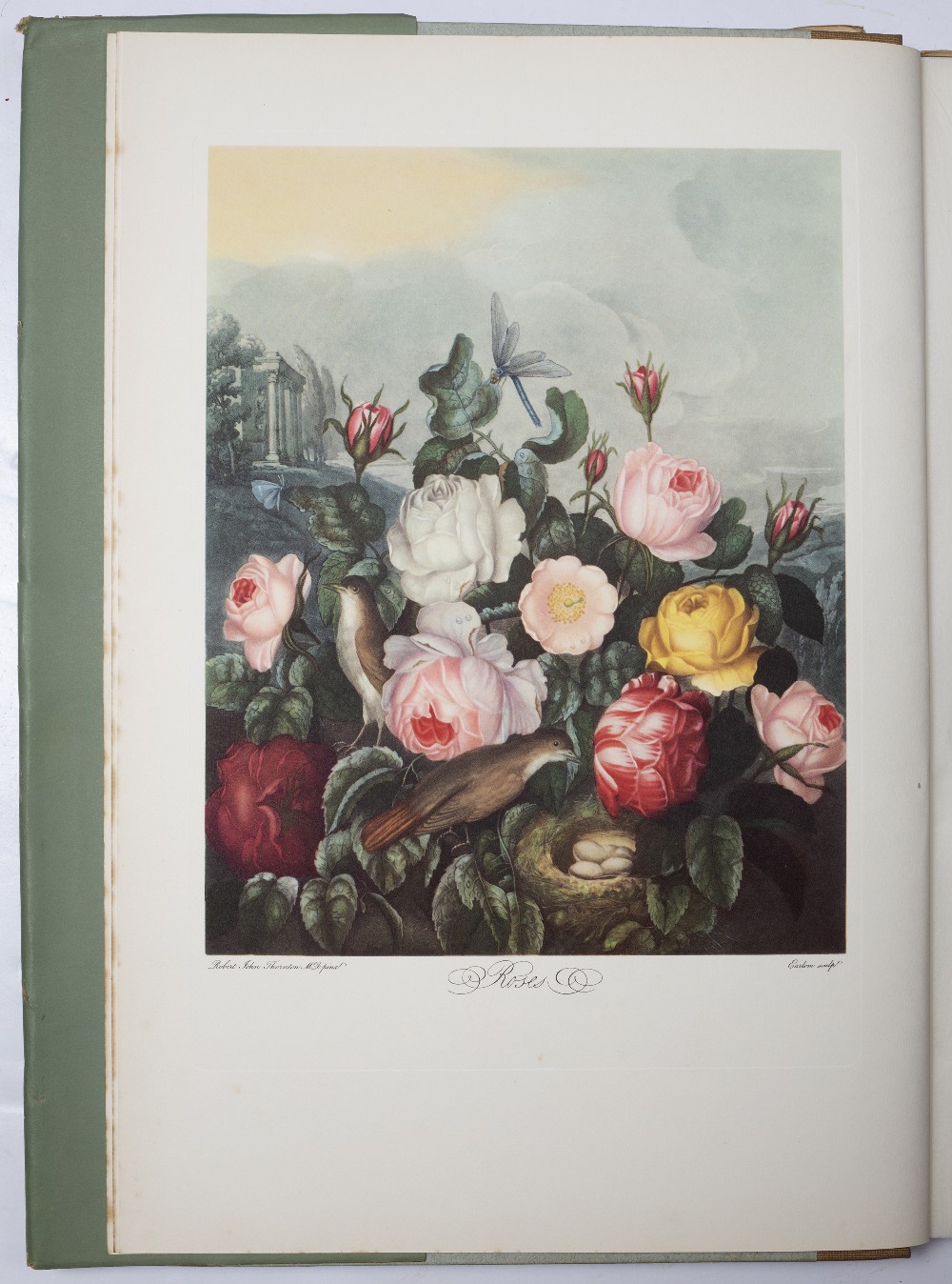 'Thornton's Temple of Flora' with plates. Geoffrey Grigson and Handasyde Buchanan (Eds, notes). - Image 3 of 3