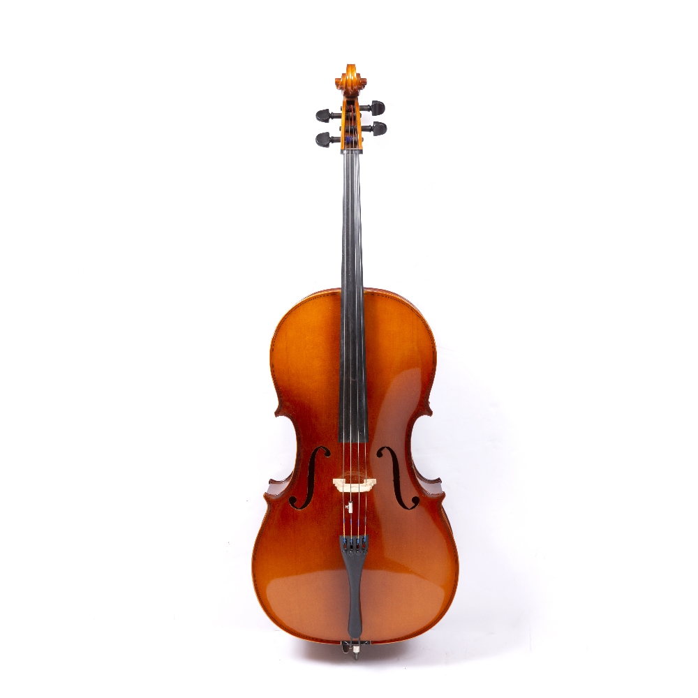 A RODERICK PAESOLD 602 CELLO with two piece back, labelled 'Roderick Paesold Bubenreuth anno - Image 2 of 4